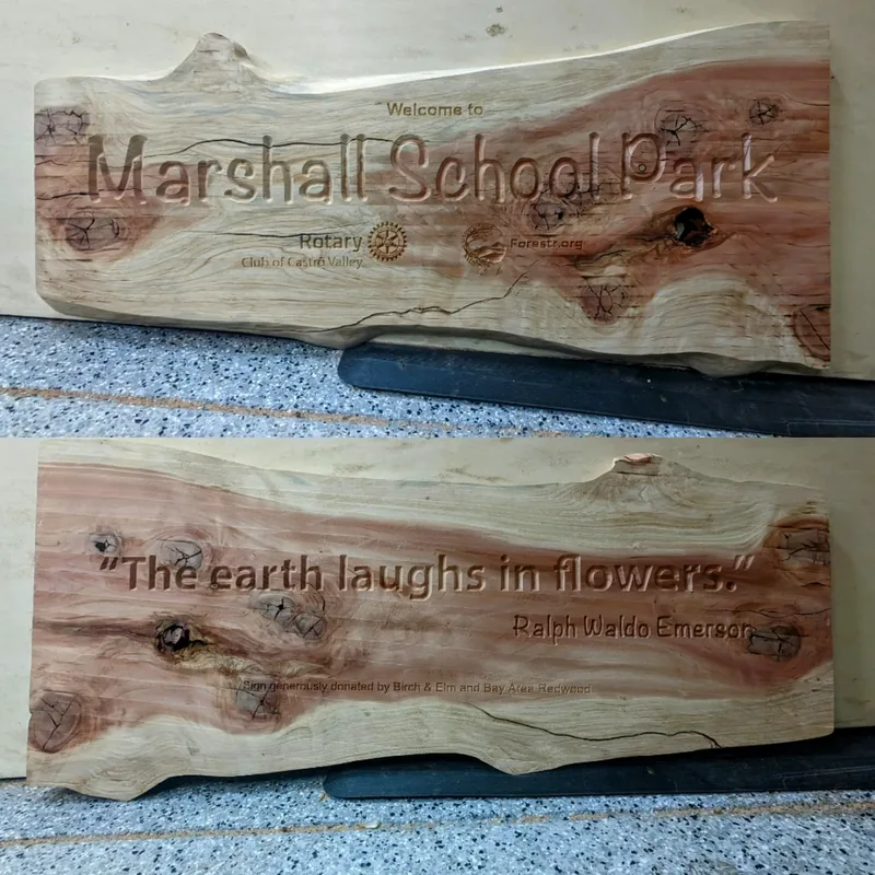 Live-edge carved Marshall School Park signs with Rotary and Forestr.org marks